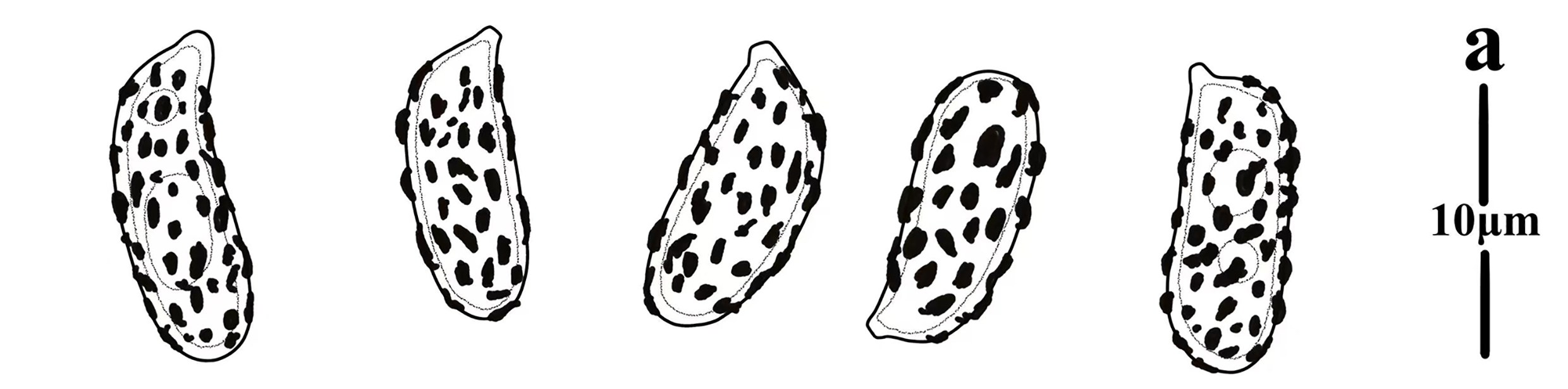 Figure 103